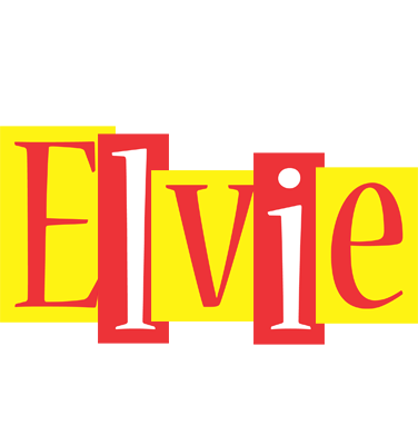 Elvie errors logo