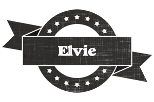 Elvie grunge logo