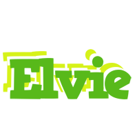 Elvie picnic logo