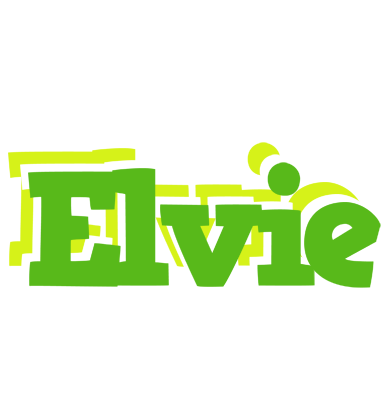 Elvie picnic logo