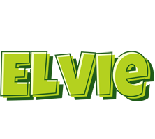 Elvie summer logo