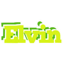 Elvin citrus logo