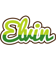 Elvin golfing logo