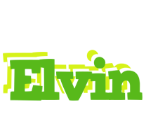 Elvin picnic logo