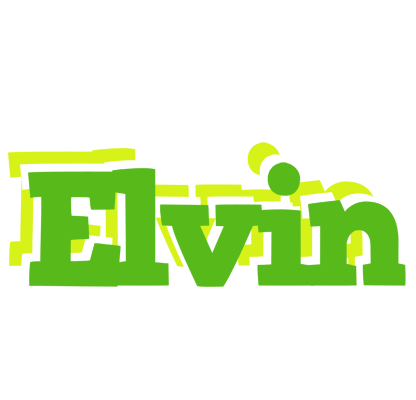 Elvin picnic logo
