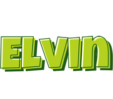 Elvin summer logo