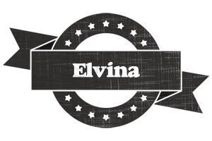 Elvina grunge logo