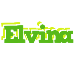 Elvina picnic logo