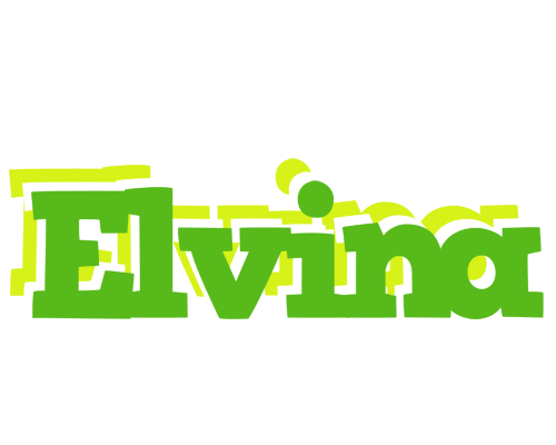Elvina picnic logo