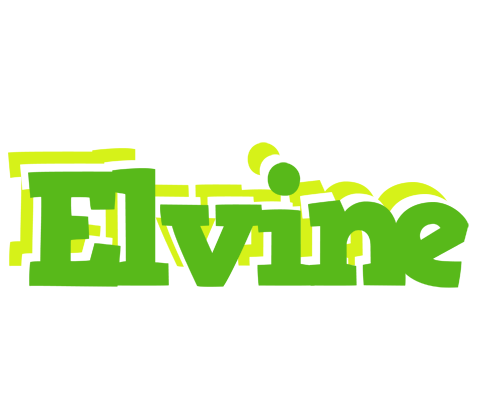 Elvine picnic logo