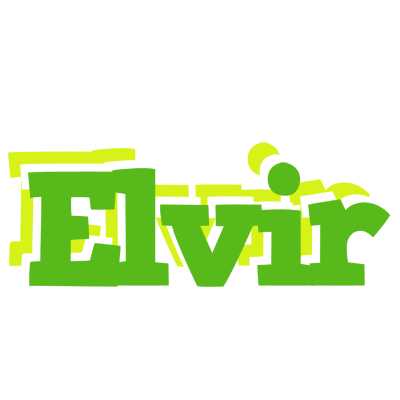 Elvir picnic logo