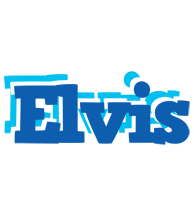 Elvis business logo