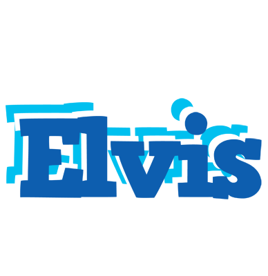 Elvis business logo