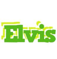 Elvis picnic logo