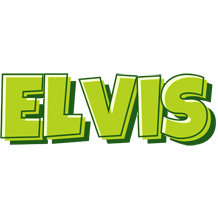 Elvis summer logo