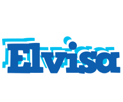 Elvisa business logo