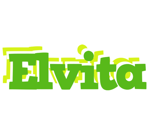 Elvita picnic logo
