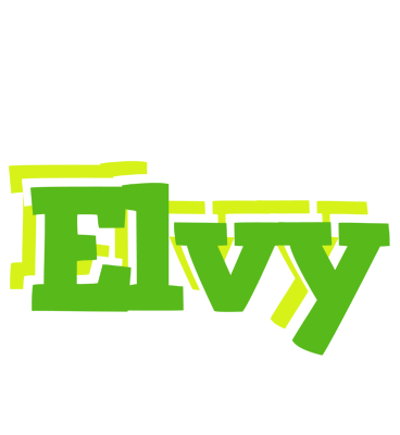 Elvy picnic logo