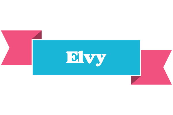 Elvy today logo