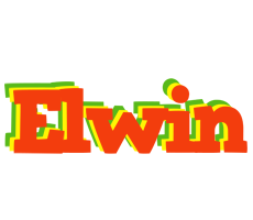 Elwin bbq logo