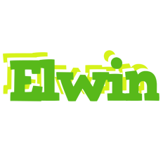 Elwin picnic logo