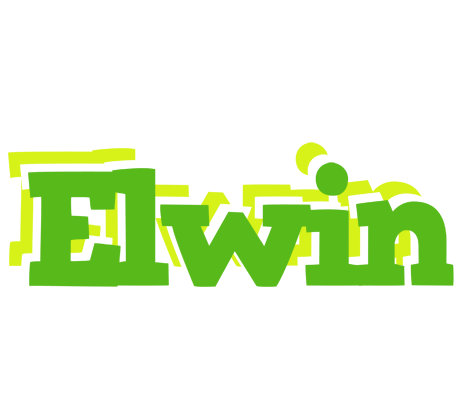 Elwin picnic logo