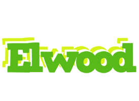 Elwood picnic logo