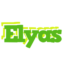 Elyas picnic logo