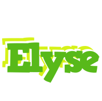 Elyse picnic logo