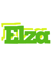 Elza picnic logo