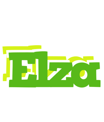 Elza picnic logo