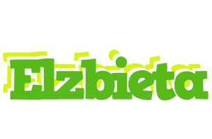 Elzbieta picnic logo