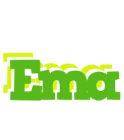 Ema picnic logo