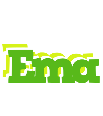 Ema picnic logo