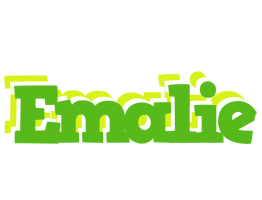 Emalie picnic logo