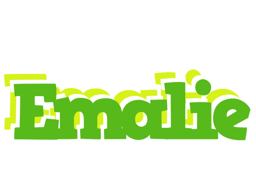 Emalie picnic logo