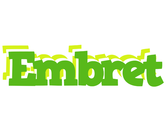 Embret picnic logo