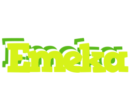 Emeka citrus logo