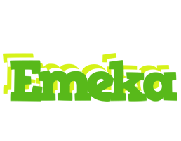 Emeka picnic logo