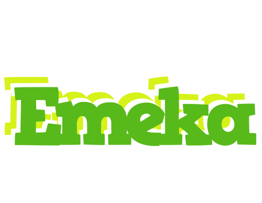 Emeka picnic logo