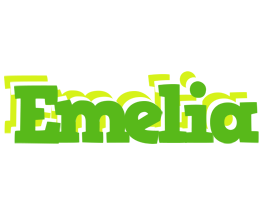 Emelia picnic logo