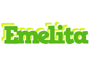 Emelita picnic logo