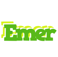 Emer picnic logo