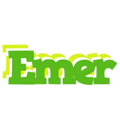 Emer picnic logo