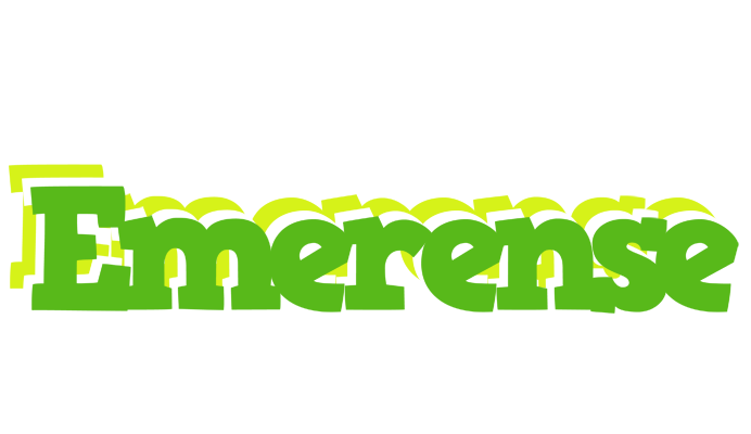Emerense picnic logo