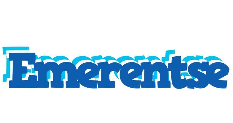 Emerentse business logo