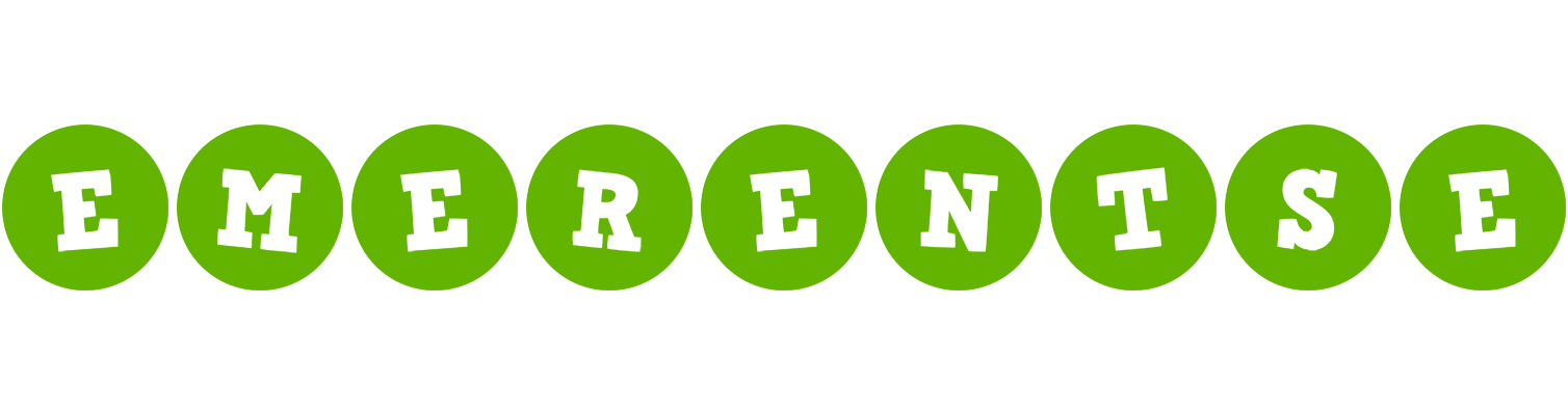 Emerentse games logo