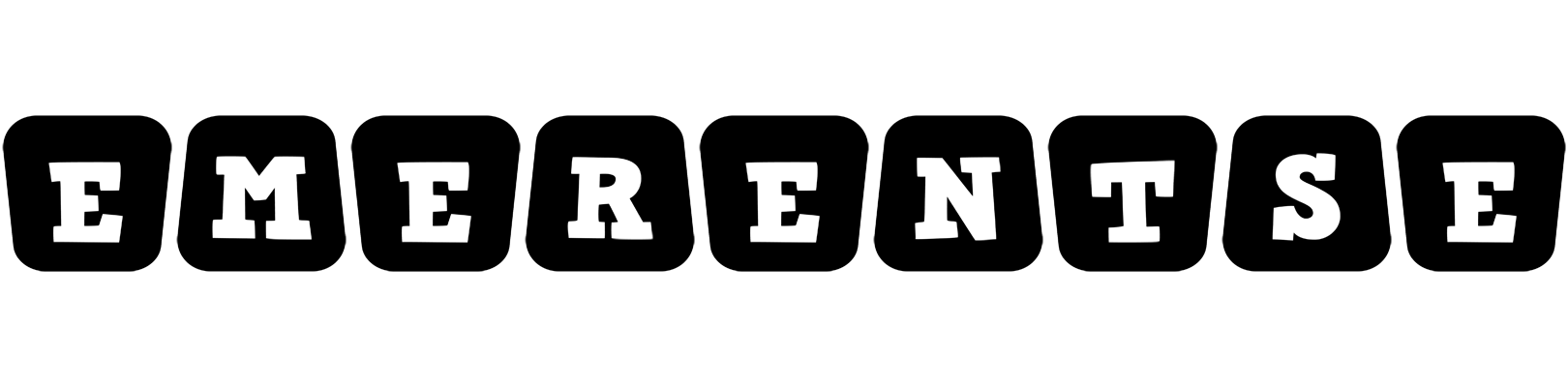 Emerentse racing logo