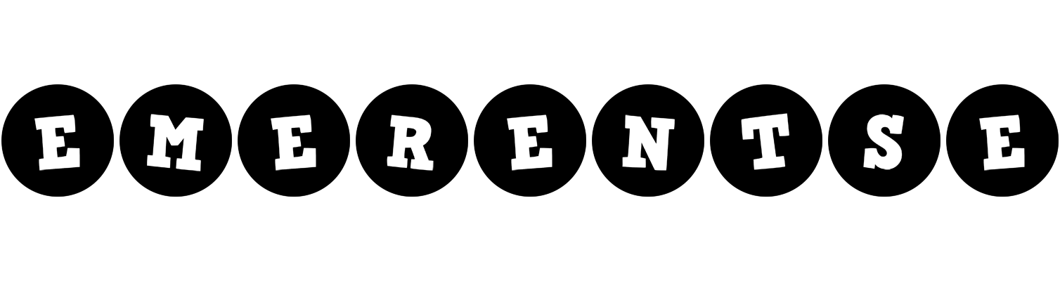 Emerentse tools logo
