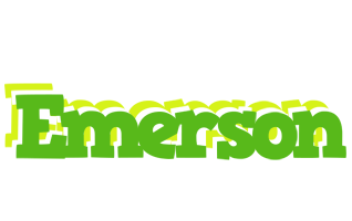 Emerson picnic logo